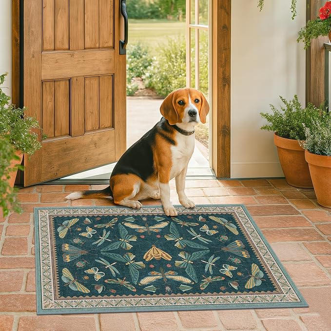 Washable Entry Rugs for Inside House