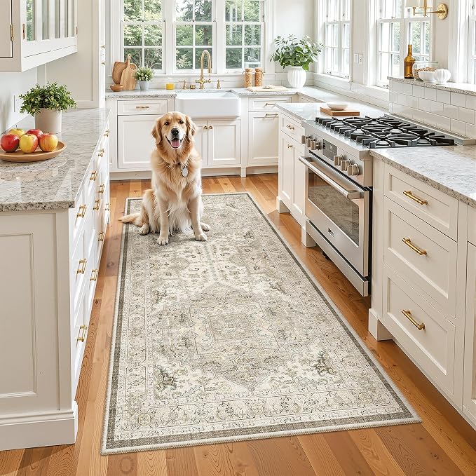 Madane Hallway Runner Rug 3x6