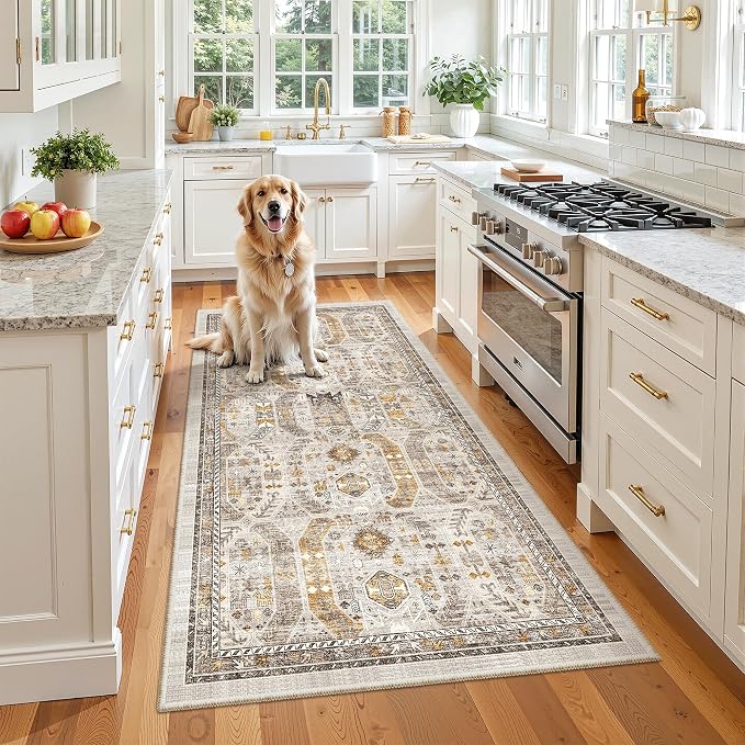Madane Hallway Runner Rug 3x6