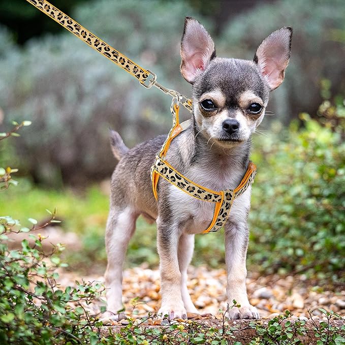 Mile High Life Leopard Dog Harness Collar Leash Set, Adjustable No Pull Dog Halter Harness for Small Breed Dogs, Easy Control for Training Walking (Yellow, XS Chest 9"-15", Neck 8"-12")