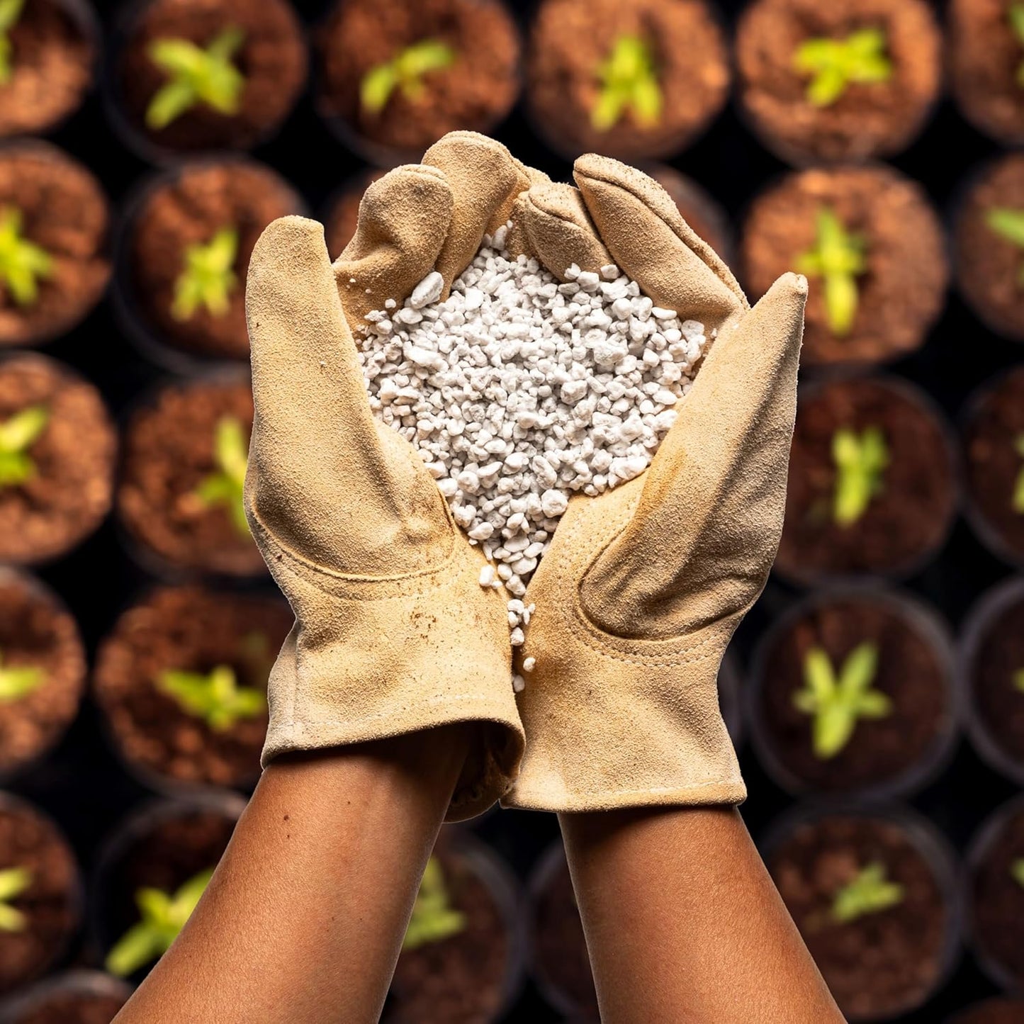 Perlite Bliss (16 Qts) - Organic Perlite for Plants - Coarse Perlite Bulk Soil Amendment - Chunky Perlite for Plants, Potting Soil, Garden Soil, & Coco Coir - Horticultural Perlite for Gardening