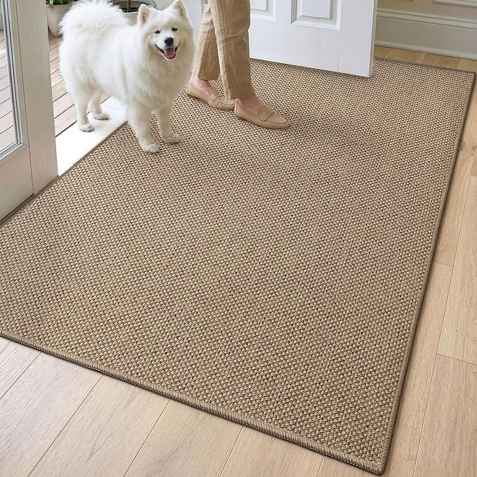 DEXI Ultra Thin Door Mat Indoor Entrance 32x48, Non Slip Rubber Backed Entryway