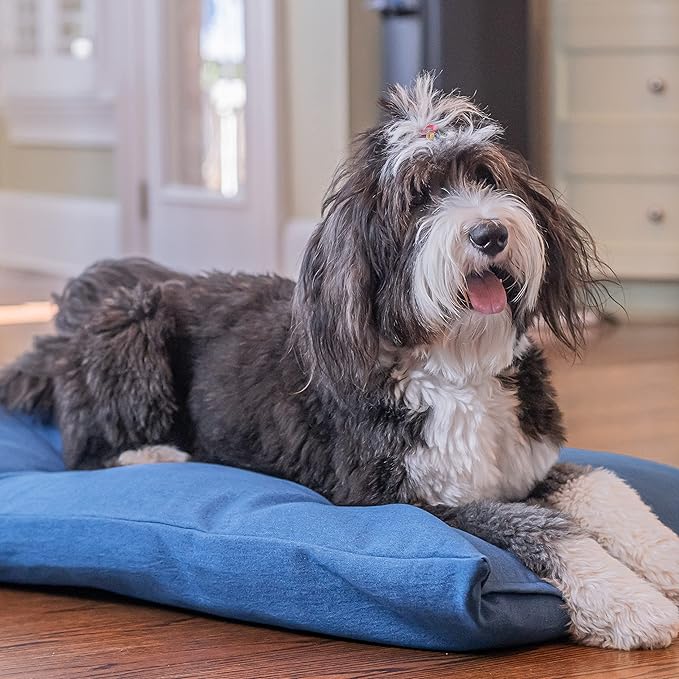 Mayfield Denim Large Dog Bed Cover - Zippered Duvet for Pet Bed - Extra Protection for Dog Bed Mattress or DIY Pet Bed with Pillows and Stuffing - Chambray - Made in USA Dog Bed Cover Only
