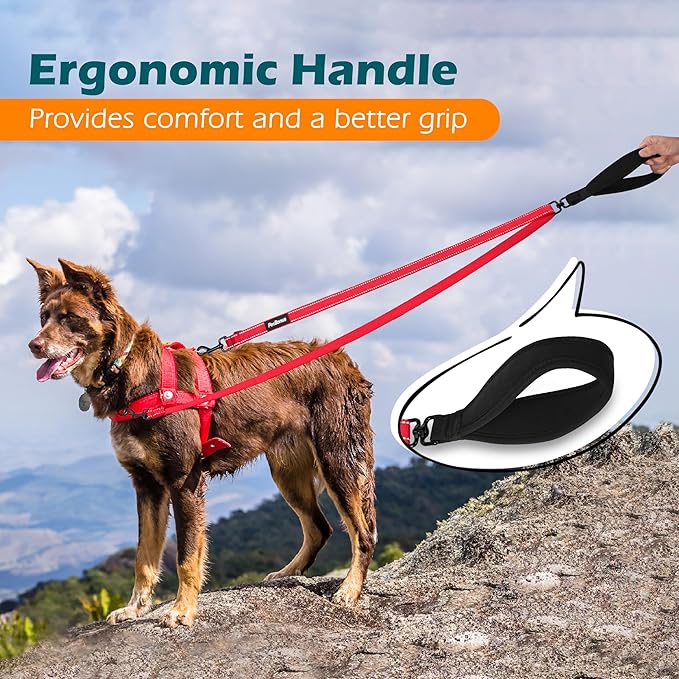 PetBonus Two Point Control Dog Leash, Works with No Pull Harnesses, No Tangle Training Leashes, Soft Padded and Reflective Walking Lead, Converts to Single Lead for Medium Large Dogs (Purple)