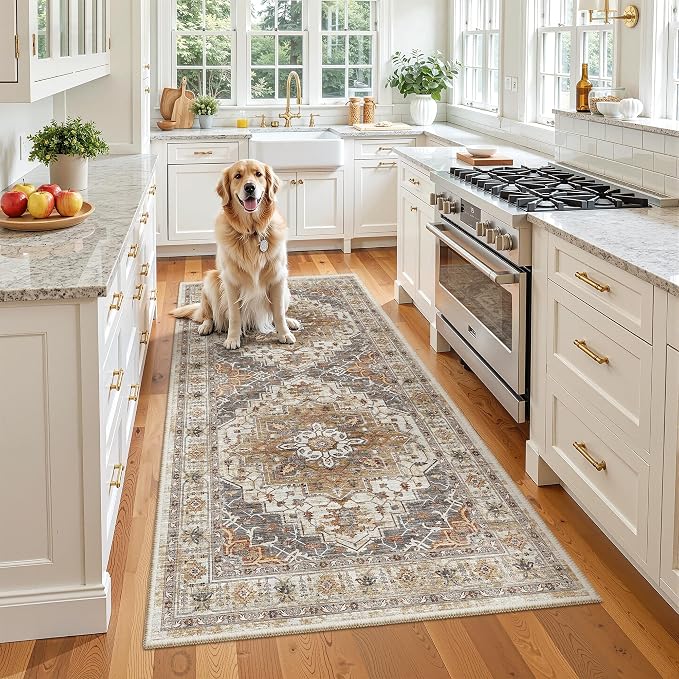 Madane Hallway Runner Rug 3x6