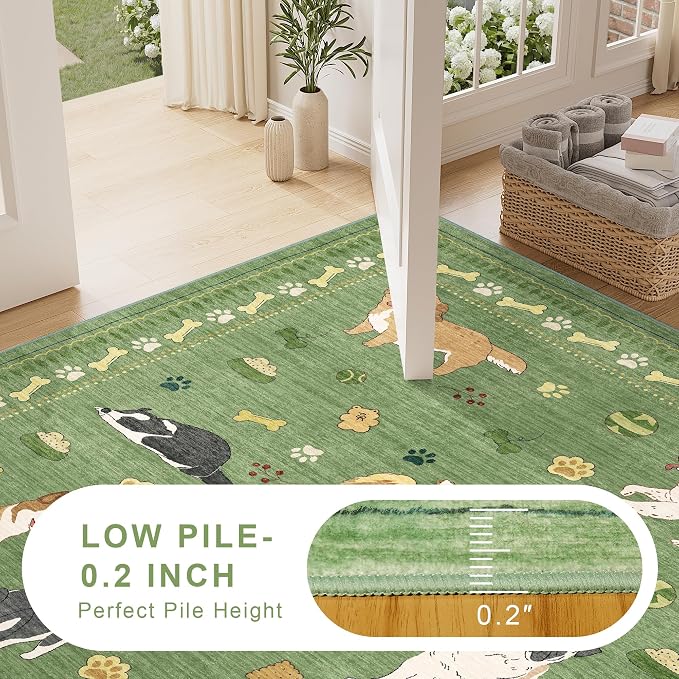 DUKINO 4x6 Area Rug, Non Slip Washable Rug