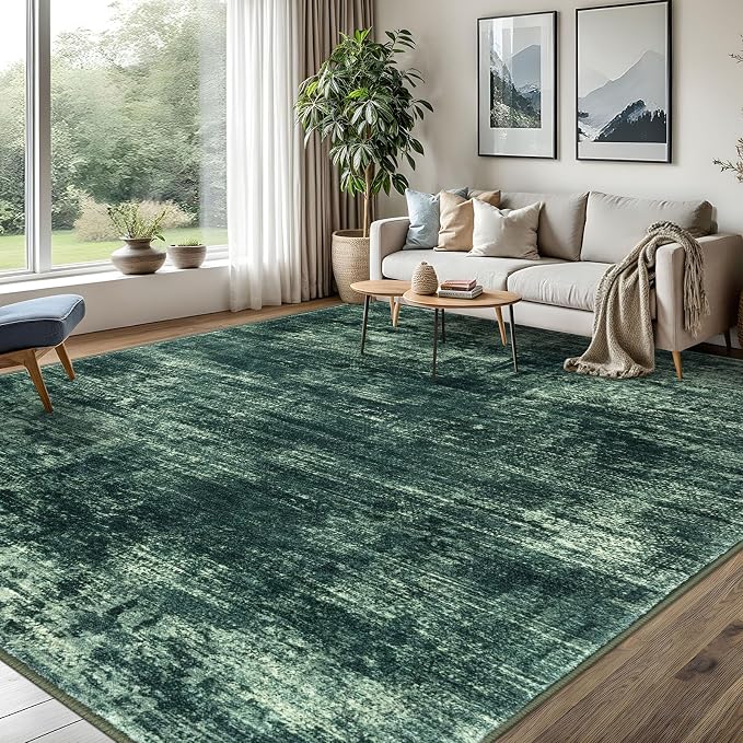 IOHOUZE Abstract Area Rugs 8x10 Ft Washable Large Rugs