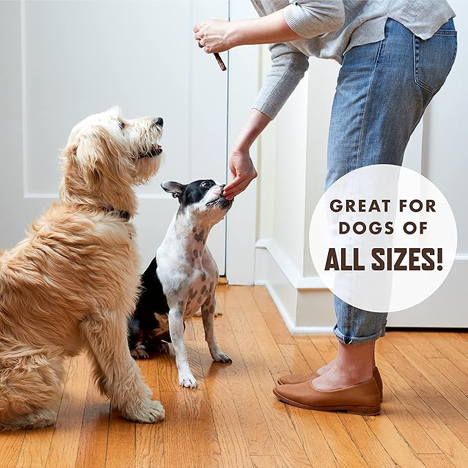 Rocco & Roxie Beef Jerky Sticks Treats for Dogs Bundle + Free 6oz Beef Jerky Sticks for Dogs