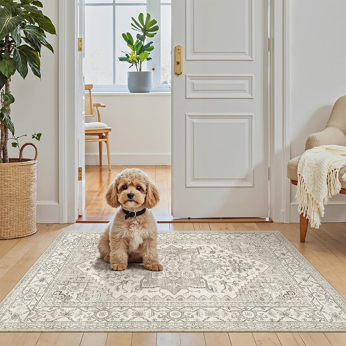 Madane Washable Area Rug 2x3, Small Entryway Rug Non-Slip Vintage Door Mat