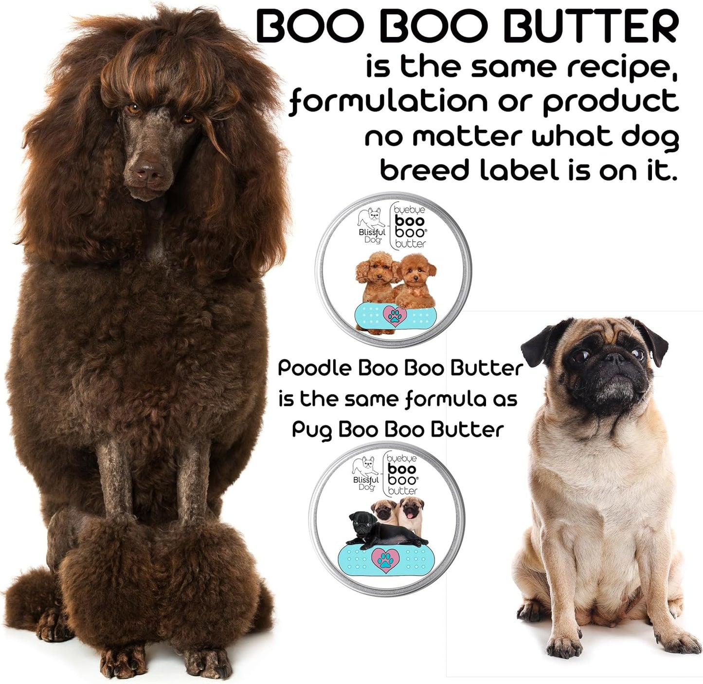 The Blissful Dog 4 oz TIN Boston Terrier Booboo Butter