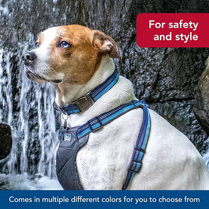 Coastal Pet K9 Explorer Reflective Adjustable Dog Collar - Comfortable Collar for The Outdoors - Durable, Lightweight Accessory with Side-Release Buckle - Sapphire, 1" x 12-18"
