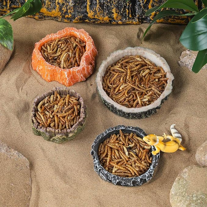 IBWell 2pcs Reptile Water Bowl with Feeding Tweezers - Feeding Dish for Lizard, Snake, Tortoise & Small Animals - Grey Rock