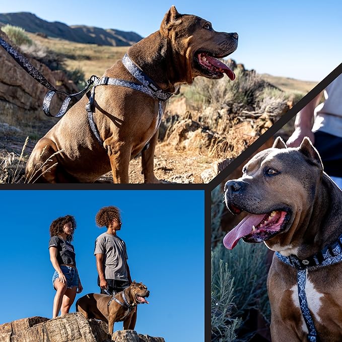 Wolfgang Heavy Duty Adjustable Dog Harness, Pull-Tested to Over 800 lbs for Walking & Training, WolfMountain Print, Small
