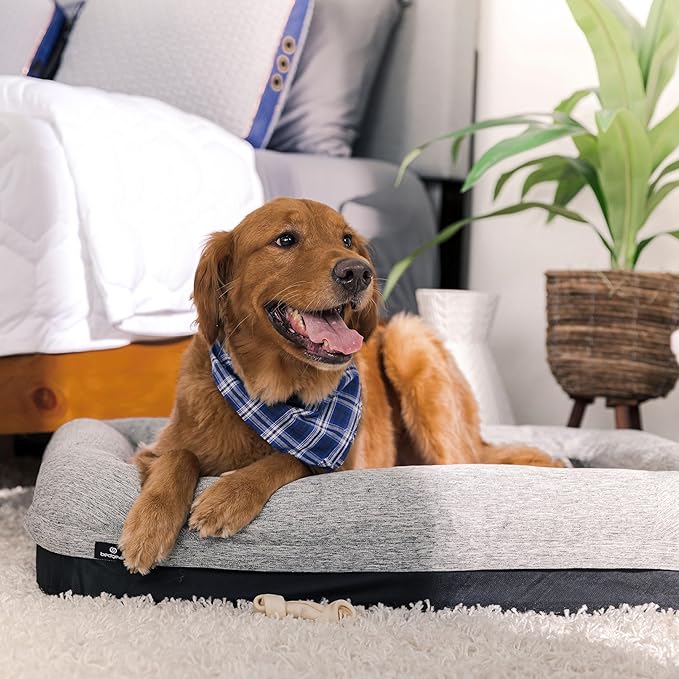 Bedgear Performance Dog Bed - Medium/Large - Durable Pet Bed with Washable Cover - Removable Pad for Travel
