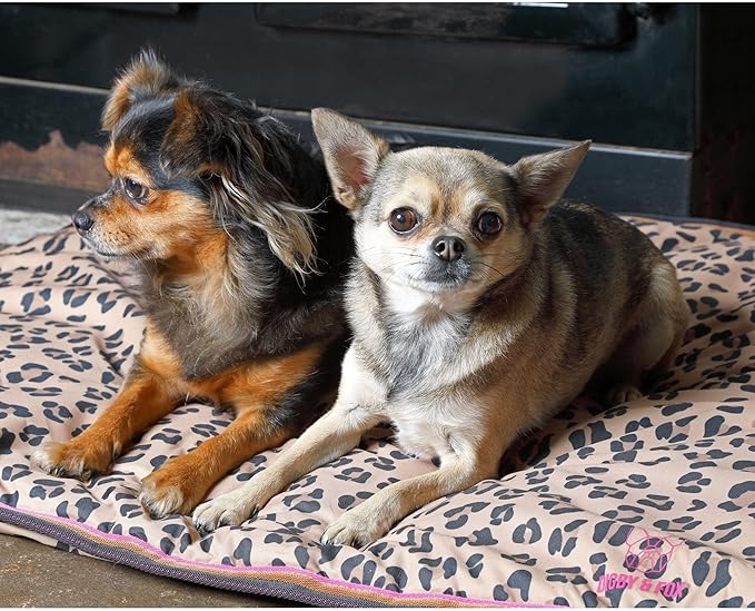 Shires Digby & Fox Waterproof Dog Bed, Leopard