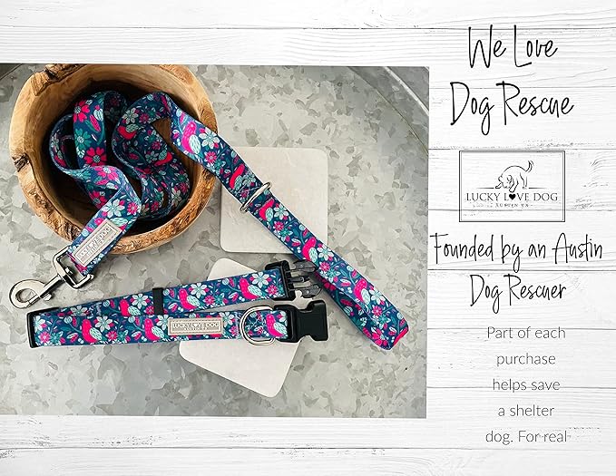 Lucky Love Dog - Adjustable Dog Collar with Easy Click Buckle for Large Dogs, Durable, & Comfortable for Male & Female Dogs, Pet Collar for Puppies & Adult Ones - Carriebelle, Large