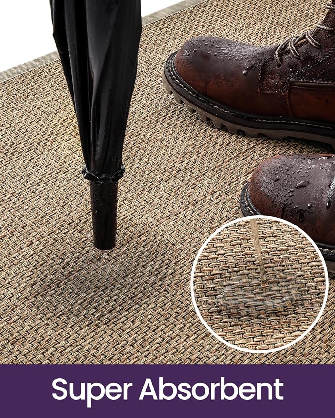 DEXI Ultra Thin Entryway Indoor Door Mat 17x30, Non Slip Rubber Backing Inside