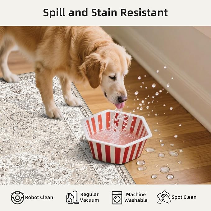 2-Piece Kitchen Runner Rug Set: Washable Non-Slip Floor Mats