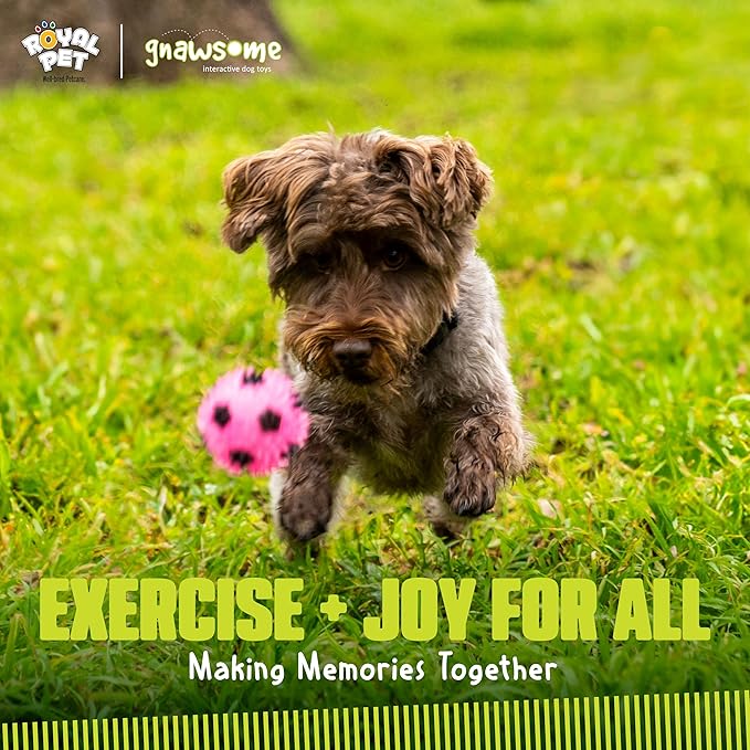 Gnawsome 2.5” Squeak & Light Soccer Ball Dog Toy - Small, Promotes Dental and Gum Health for Your Pet, Colors will vary, 2.5" for All Breed Sizes