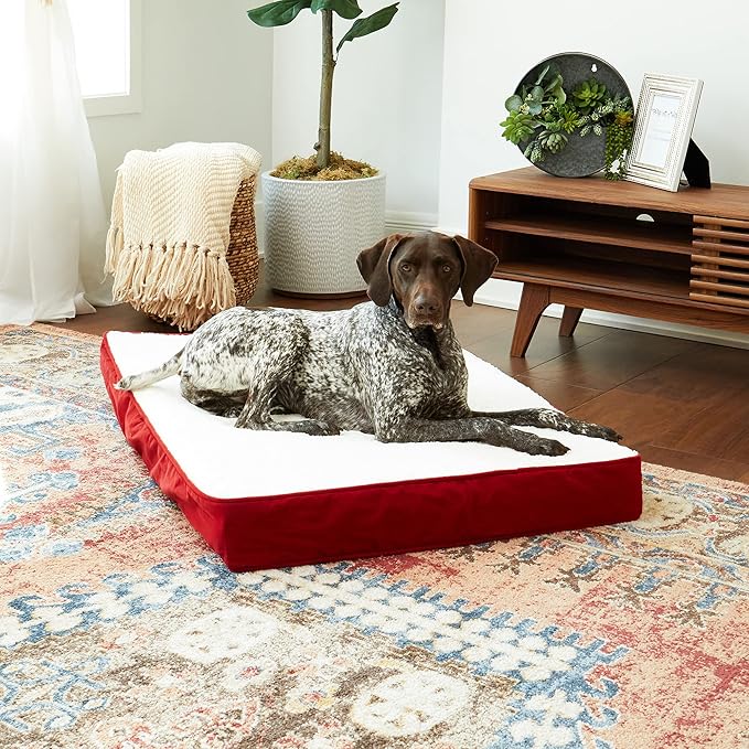Happy Hounds Oscar Rectangle Orthopedic Foam Sherpa Dog Bed, Medium (42 x 30 in.), Red