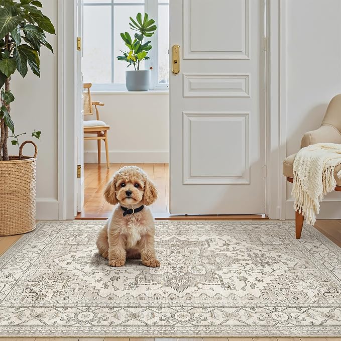 Madane Washable Entry Rug 3x4, Area Rugs