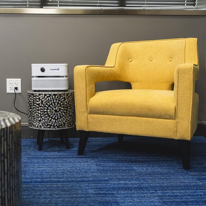 Austin Air it Room Air Purifier
