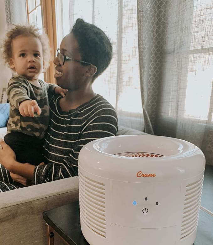 Crane HEPA Air Purifier, Air Purifiers