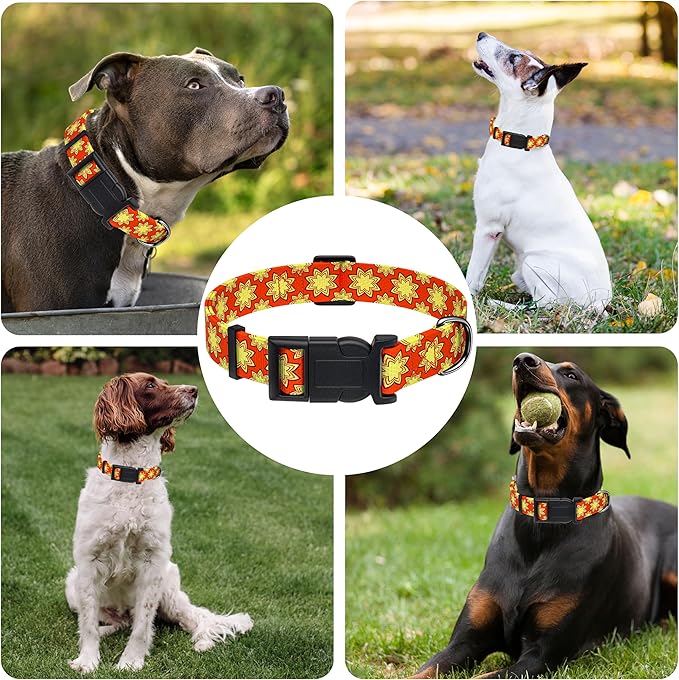 Dog Collar, Classical Indian Spirit Boys Girls Puppy Collar for Small Medium Large Dogs, Adjustable Soft Indian Pet Collar with Safety Buckle for Male Females(Yellow,M)
