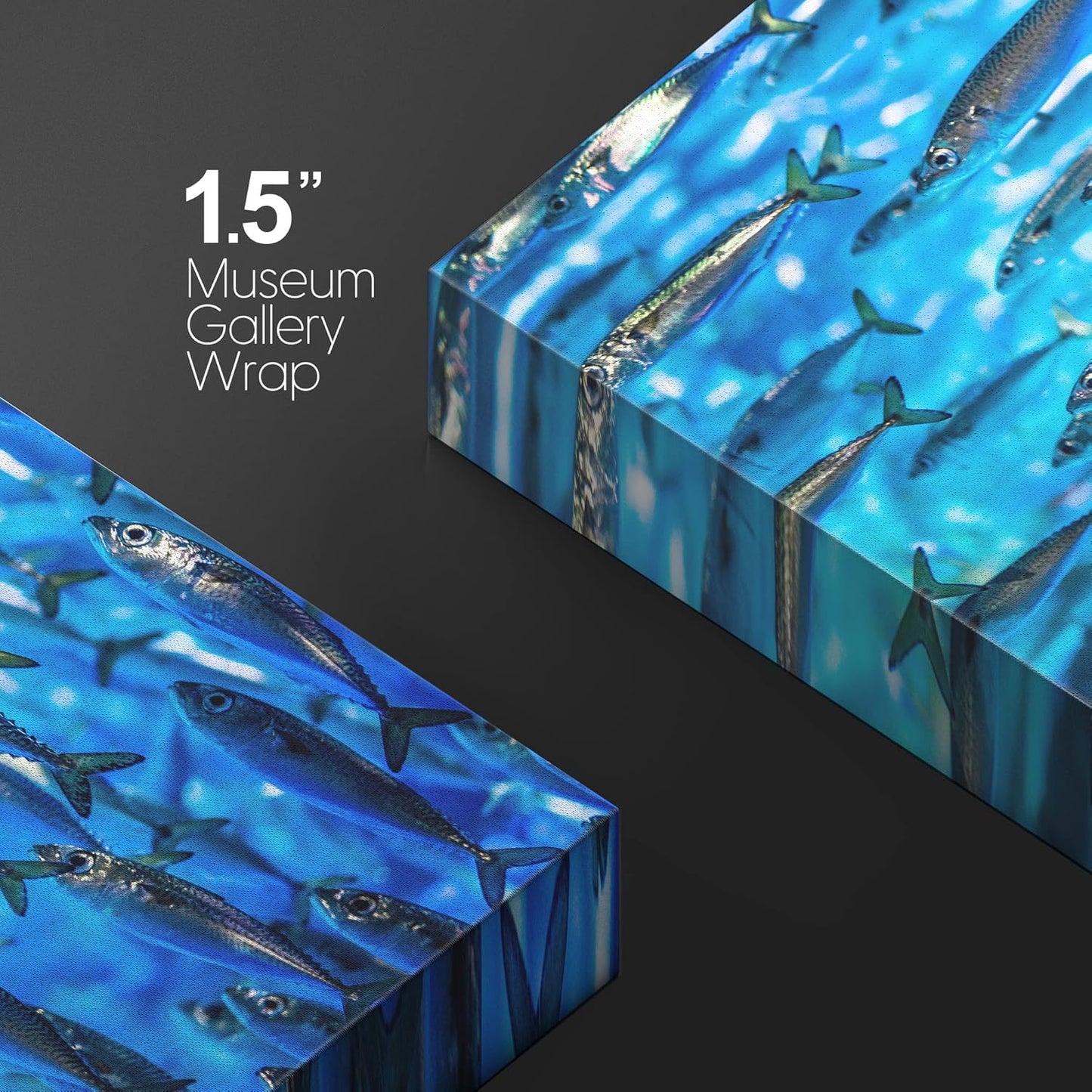 wall26 Canvas Print Wall Art Close Up Sardine School of Fish Underwater Nature Animals Photography Realism Rustic Scenic Landscape Wilderness Earth for Living Room, Bedroom, Office - 16"x24"