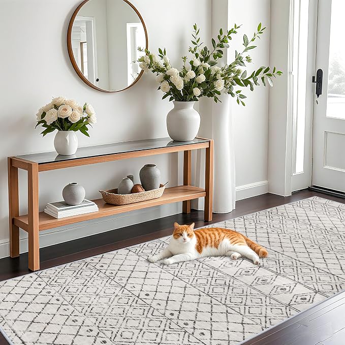 4x10 Rug for Hallway