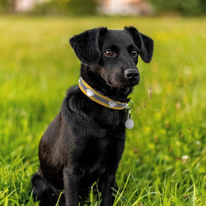 PETCARE Reflective Dog Collar with Cute Paw Rivet Studded Funny Soft PU Leather Adjustable Puppy Dog Collars for Small Medium Large Dogs Cats (Yellow,X-Large)