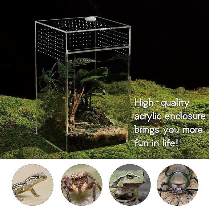 Acrylic Terrarium for Reptiles & Spiders – Small/Medium/Large Leak-Proof Enclosure (Horizontal/Vertical) | Ideal for Tarantulas, Jumping Spiders, Frogs & Geckos (Large Vertical)