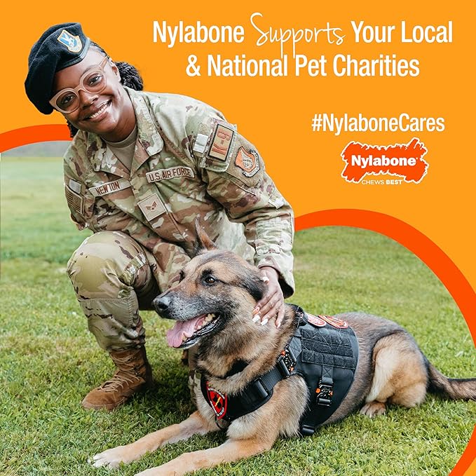 Nylabone Healthy Edibles Natural Dog Chews Long Lasting Bacon Flavor Treats for Dogs, Small/Regular (1 Count) (Pack of 2)