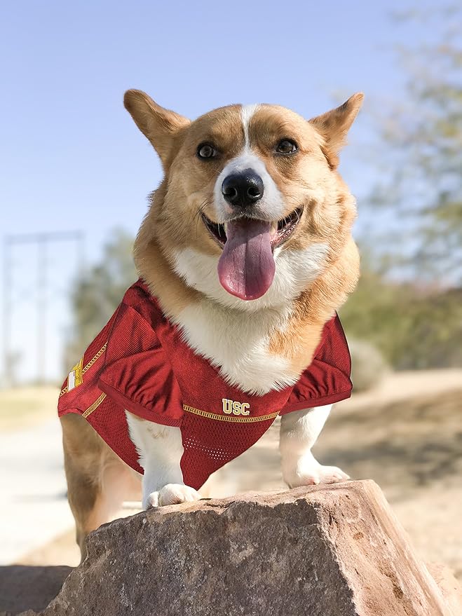 Pets First NCAA College USC Trojans Mesh Jersey for DOGS & CATS, XX-Large. Licensed Dog Jersey with your Favorite Football/Basketball College Team