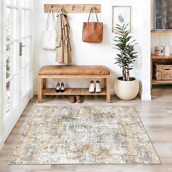 3x4 Modern Entryway Area Rug