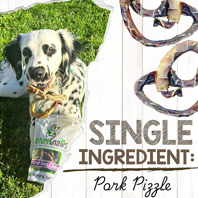 Nature Gnaws Pork Bully Stick Pretzels for Dogs 4-5" (15 Count) - Long Lasting for Light Chewers and Small Dogs - Natural Bacon Dog Chew Treats - Rawhide Free