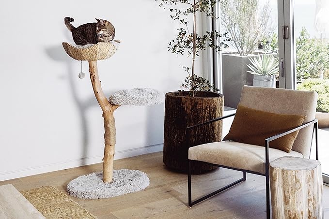 Wooden Cat Tree Tower, Modern Single Branch Cat Condo, Wood Cat Tree, Cat Climbing, Furniture for Cat, Cat Lover Gift, Cat Furniture,Cat Gift by MAU LIFESTYLE (Bullet Gray)