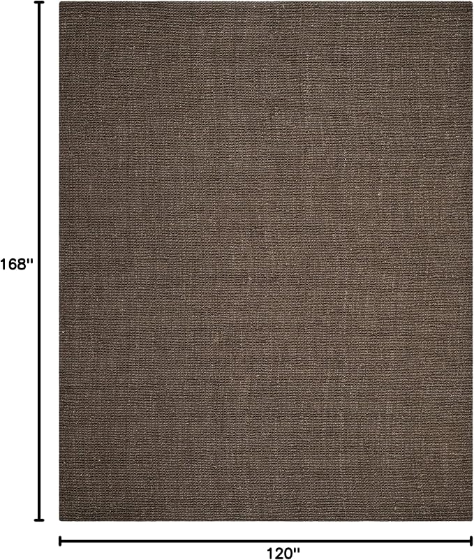 SAFAVIEH Area Rug 10x14