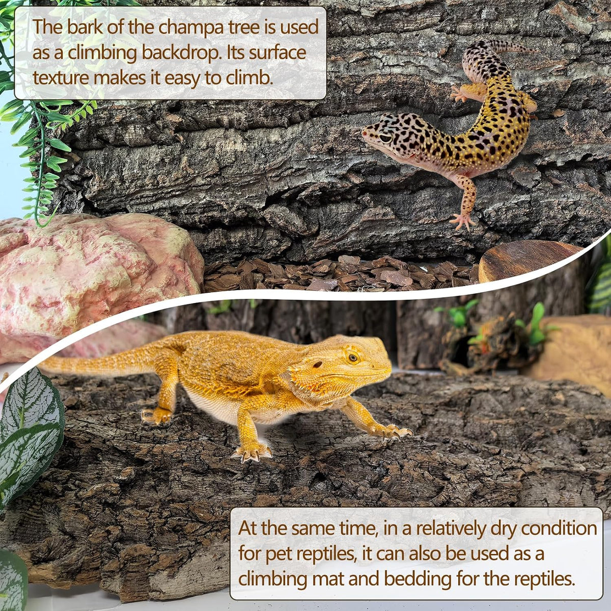 Cork Terrarium Background 11.8x7.9in 8PCS Natural Reptile Cork Bark Flats Terrarium Board Bearded Dragon Climbing Wall Mat Tank Accessories Decor for Lizard Chamelon Snake Turtle Spider Crested Gecko