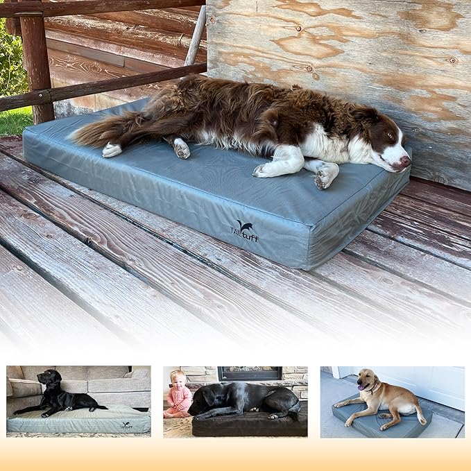 Elevated Dog Bed | Orthopedic Memory Foam | Large and Medium Dogs | Removable and Washable Cover | Waterproof Liner | Extra Large Gray