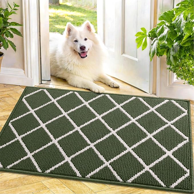 Finchitty Indoor Door Mat, Dirt Resistant and Absorbent, Low-Profile, Washable