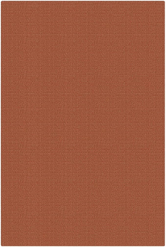 KOZYFLY Washable 4x6 Entry Woven Area Rug, Braided Throw Rugs