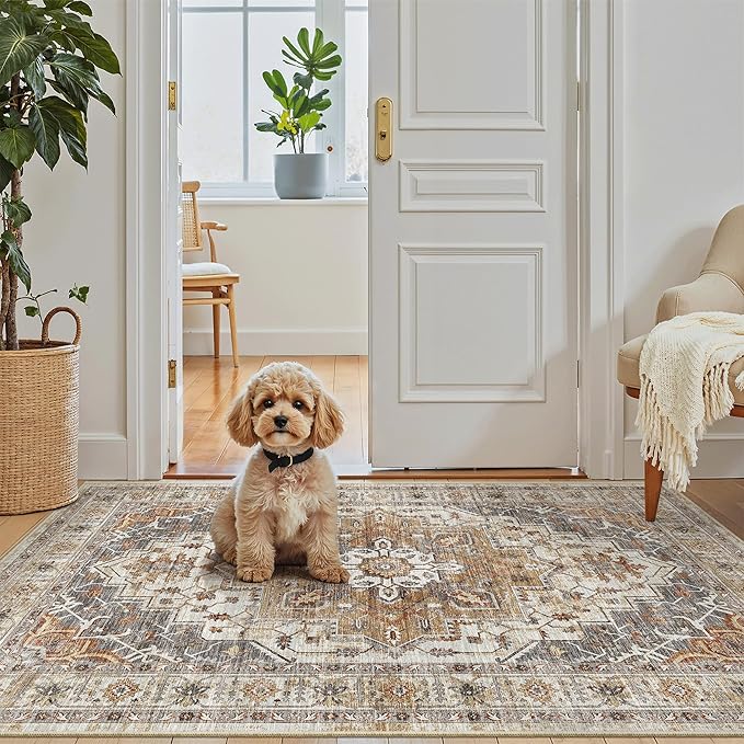 Madane Washable Entry Rug 3x4, Area Rugs