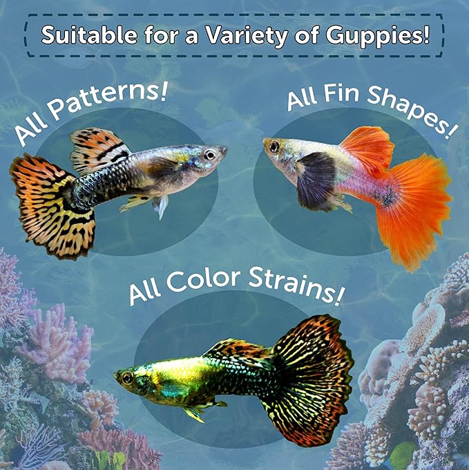 Aquatic Foods Inc. Premium Guppy and Endler Flake Food Also for Tetras, Zebras, All Nano and Micro Fish Also Pellet Mix, Wafer Mix Included…2oz