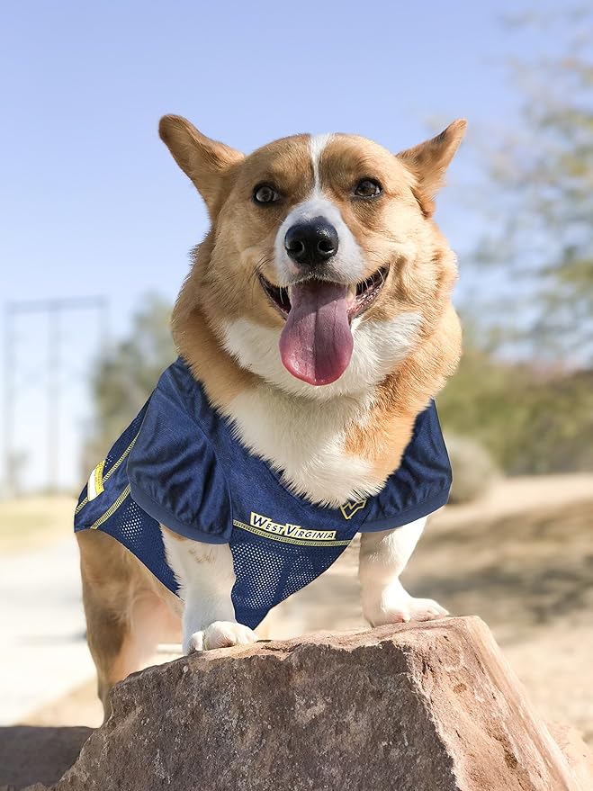 Pets First NCAA College West Virginia Mountaineers Mesh Jersey for DOGS & CATS, X-Large. Licensed Dog Jersey with your Favorite Football/Basketball College Team