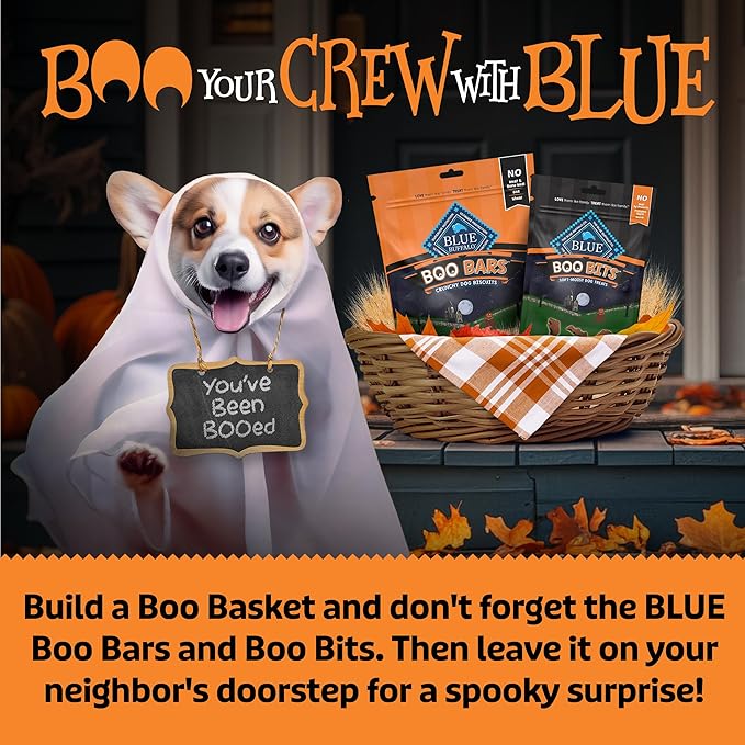 Blue Buffalo Boo Bits Soft & Chewy Halloween Dog Treats, Tasty Chicken Recipe, 4.5-oz Bag (Pack of 4)