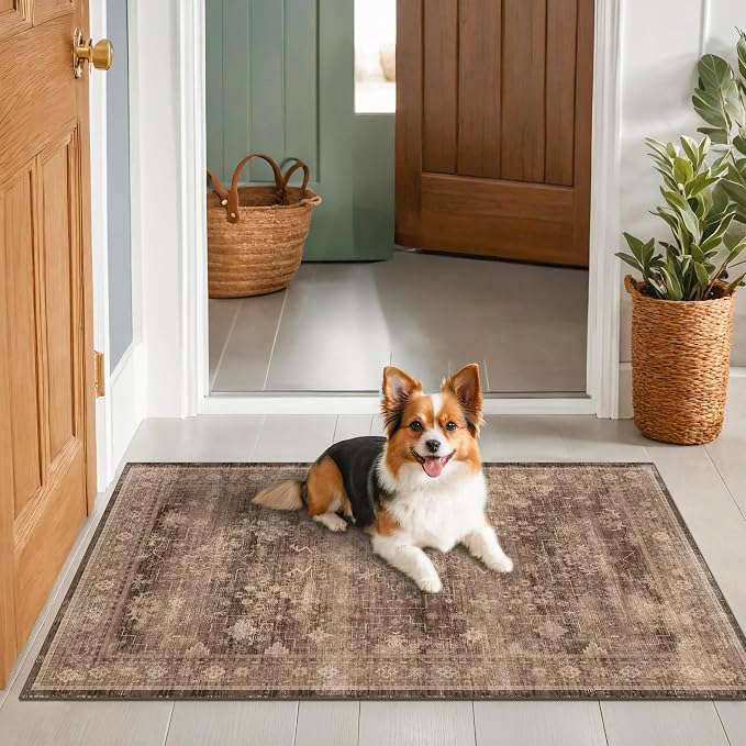Boho Taupe Brown 3x5 Large Entryway Rug
