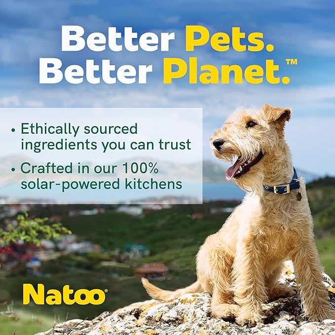 NATOO Dog Treats for Small Dogs & Puppies, Crunchy Biscuits Oats Banana and Honey, Natural Dog Treats, Rich in Omega 6, Prebiotics and Fiber, Antioxidants for Immunity (8oz)