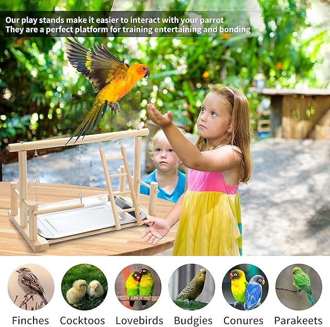 Natural Wood Bird Playground Parrot Perch Playstand Play Gym Stand Playpen Perches Ladder Swing Platform with Toys Exercise Playgym for Luonfels,Budgie,Cockatiels,Conures,Parakeets,Lovebird