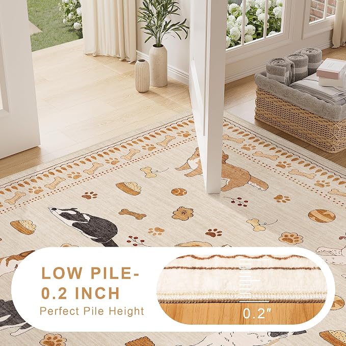 DUKINO 2x3 Entryway Rug, Washable Small Door Mat Indoor Entance Lightweight